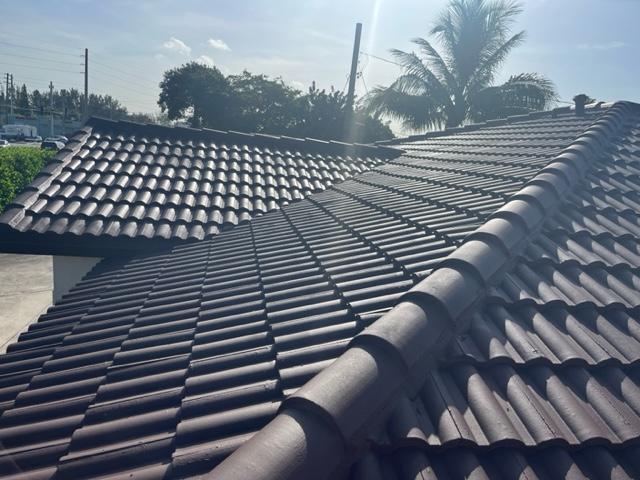 Roof after Roof Shield top coat — monolithic sealed surface, job completed