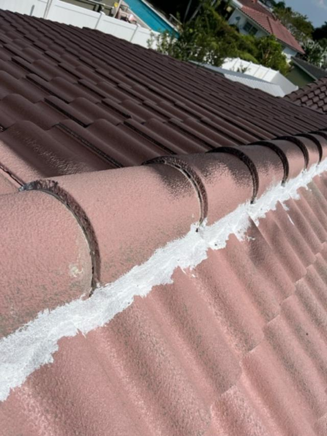 Ridge caps polyurethaned and pointings fiber coated on tile roof — Smart Shield prep — Smart Shield | The Roof Store Ridge caps polyurethaned and pointings fiber coated on tile roof — Smart Shield prep