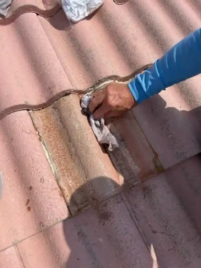 Roof tile repair complete — residue wiped, surface ready for coating — Smart Shield | The Roof Store Roof tile repair complete — residue wiped, surface ready for coating