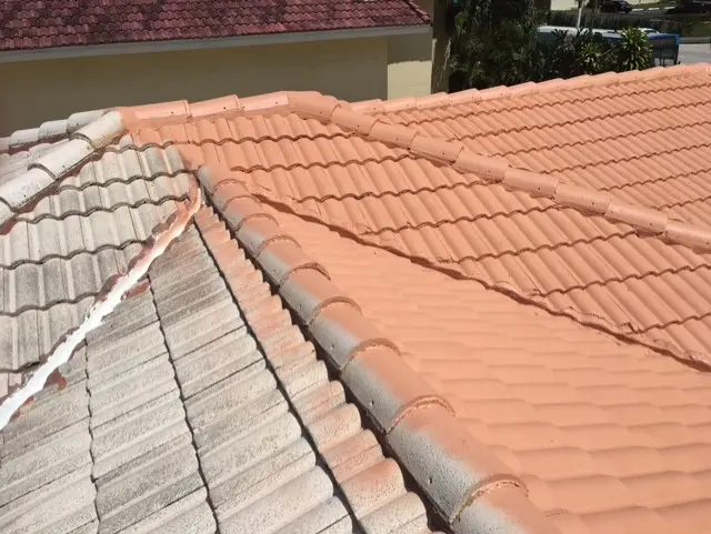 Roof Painting Service for Tile Roofs