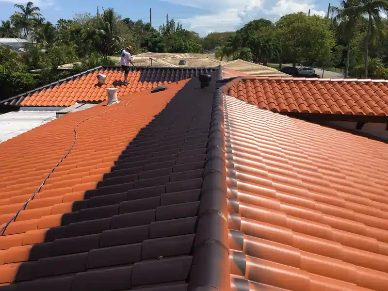 Dark Spanish Tile Roof Paint