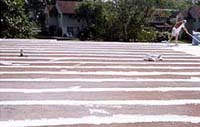 Commercial Flat Roof Commercial Flat Roof