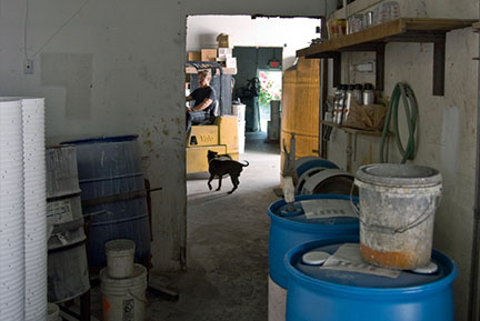 Roof coating warehouse with drums and pails at The Roof Store factory — Davie, Florida